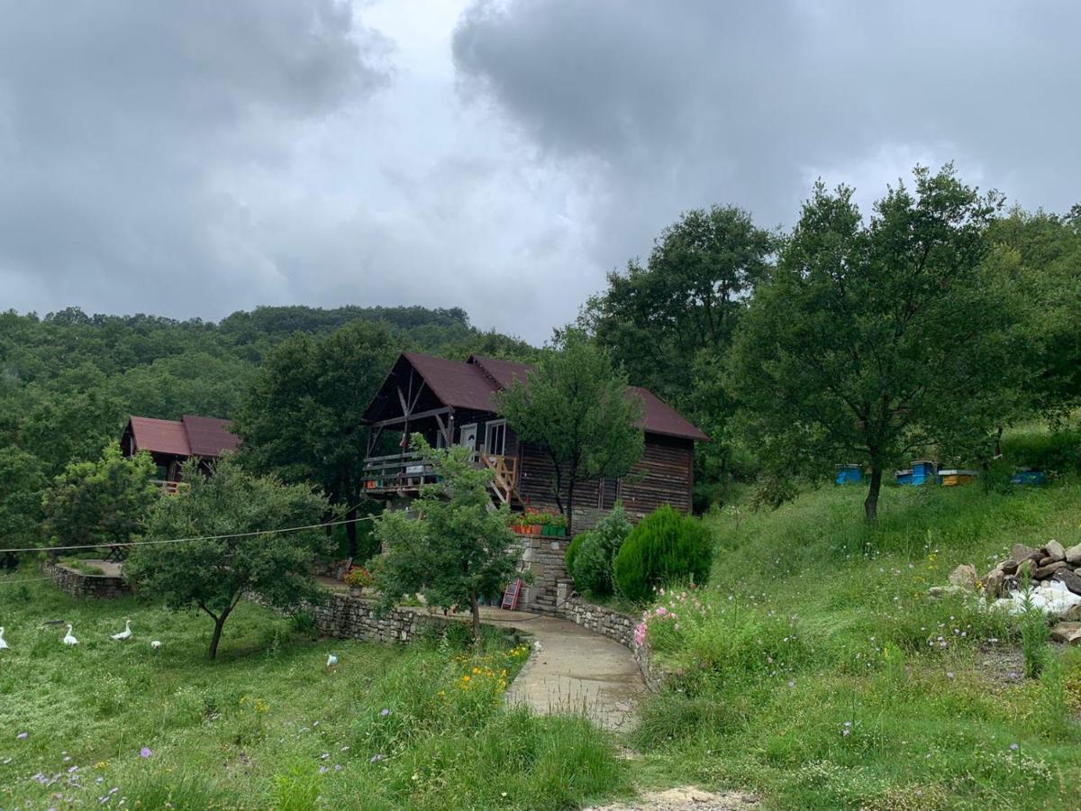 Origjina Farm Villa Përmet Екстериор снимка