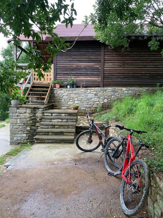 Origjina Farm Villa Përmet Екстериор снимка